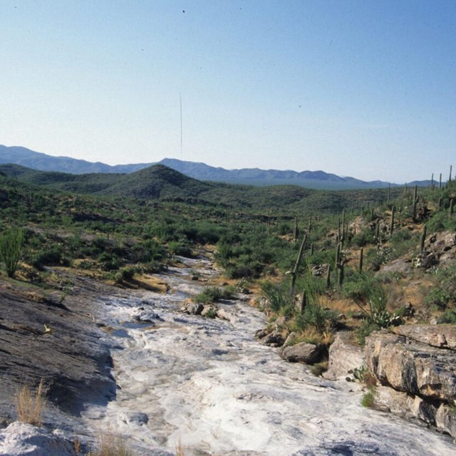 water flowing in drainage in a the rincon mountains