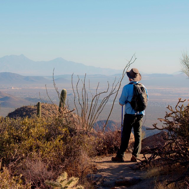 A male hiker stands facing away, looking over a trail's edge into the valley below.