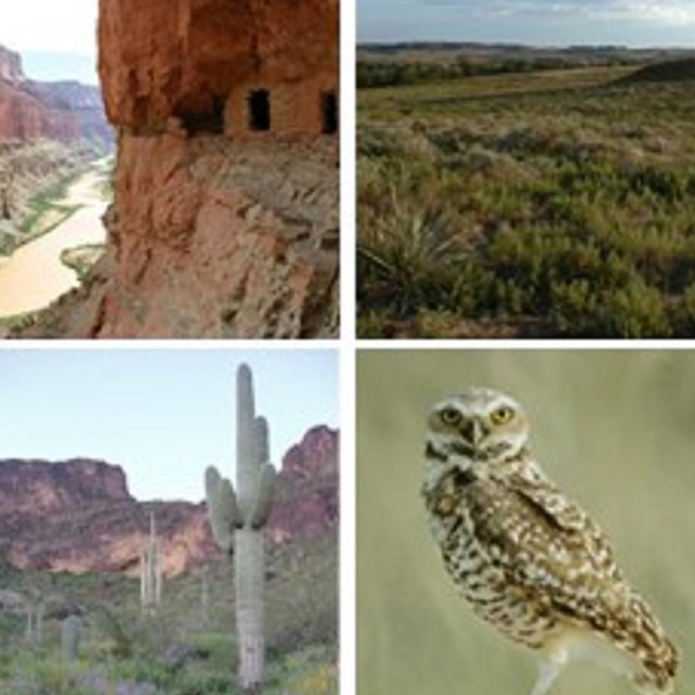 Nature and Science
