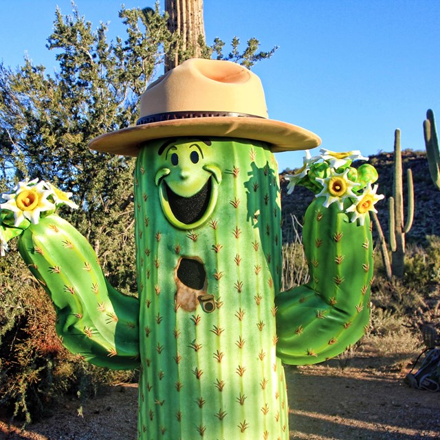 Sunny the Saguaro