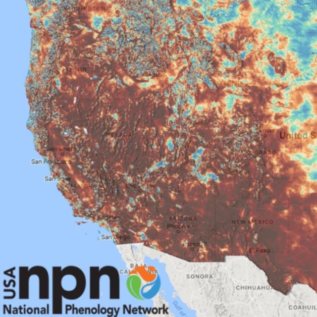 National Phenology Network