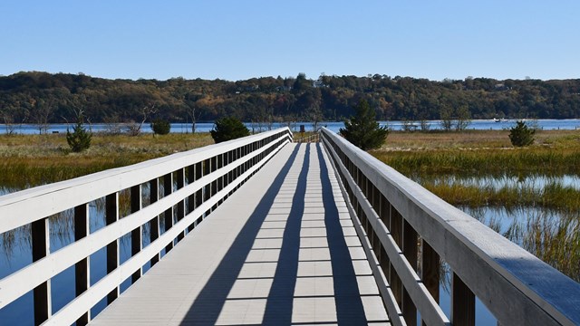 A boardwalk stretching over a creek leading to a dune and beach.