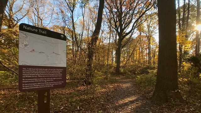 A sign reading "Nature Trail" with autumn woods in the background.