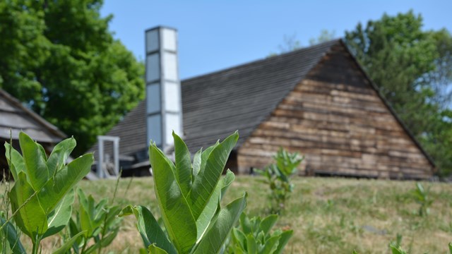 A large one-story wooden structure with white chimney surrounded by grass and plants.
