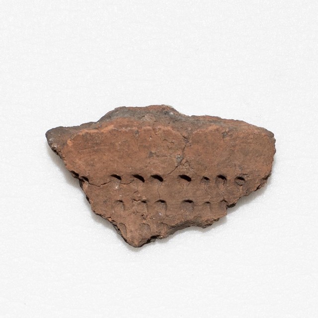 A brown pottery fragment with circular impressions or marks.