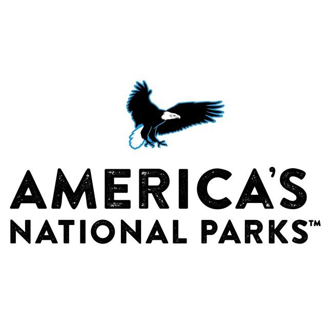 Bald eagle flying over text America's National Parks.