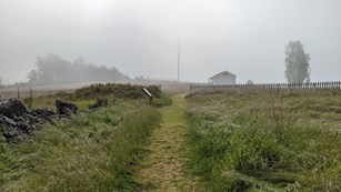 A grassy trail on a foggy day. There are trees and a building in the back