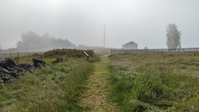A grassy trail on a foggy day. There are trees and a building in the back