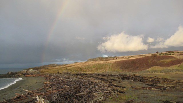 A rainbow goes over a gray sand beach with lots of wood on it. The sky is gray with clouds