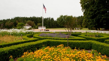 Orange flowers in bloom in a historic garden.