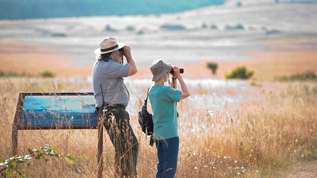 A ranger and visitor knee deep in grass with binoculars.