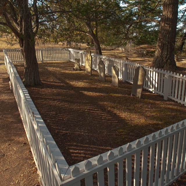 A cemetery surrounded by a white fence with stone gravestones