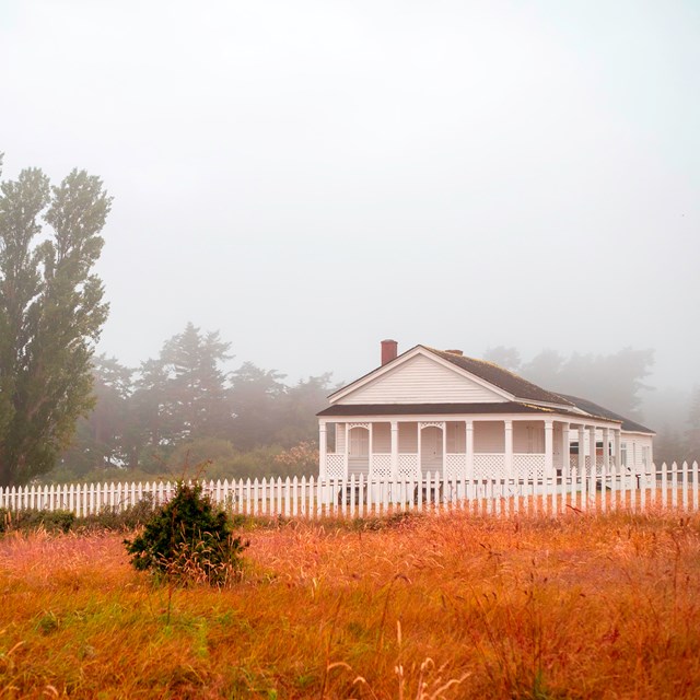 Historic white buildings in a grassy field surrounded by a white fence