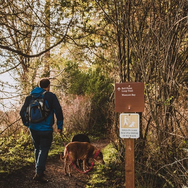 Color photo of a man hiking with a dog in front of park signage