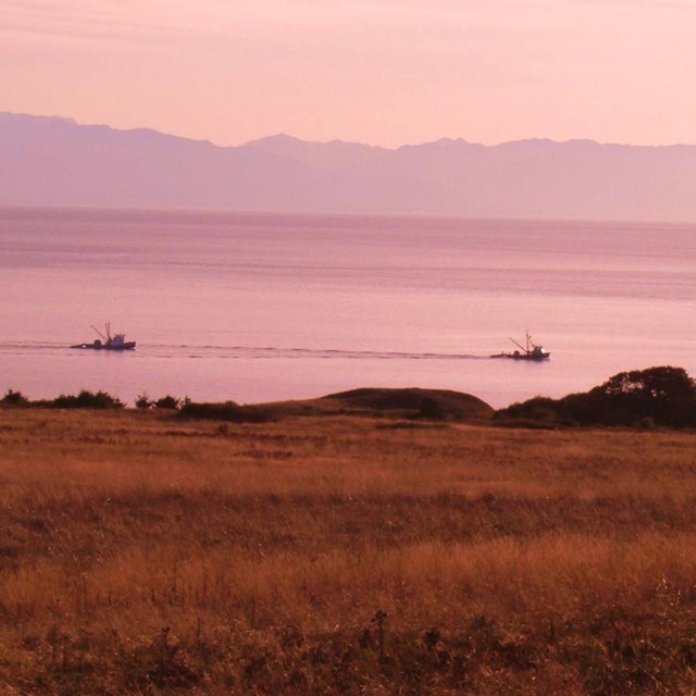 Fishers from prairie at sunset.