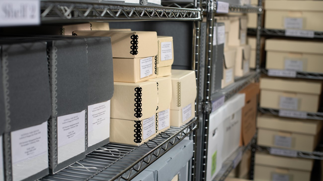 Tan, gray and white boxes of various sizes on metal shelves.