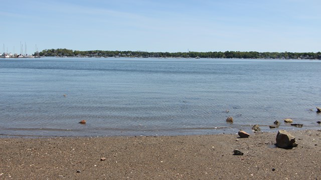 Shoreline with small, rocky beach, blue skies, and calm waters.