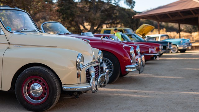 Vintage cars lined up on a dirt road