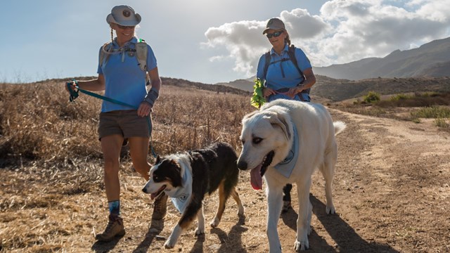 Two women in blue shirts walking their leashed dogs on trail.