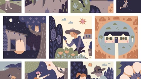 Collage of illustrations showing positive behaviors for