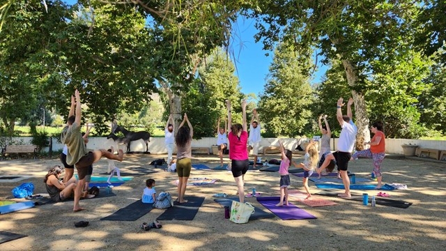 A group performing yoga outdoors under sycamore trees at King Gillette Ranch