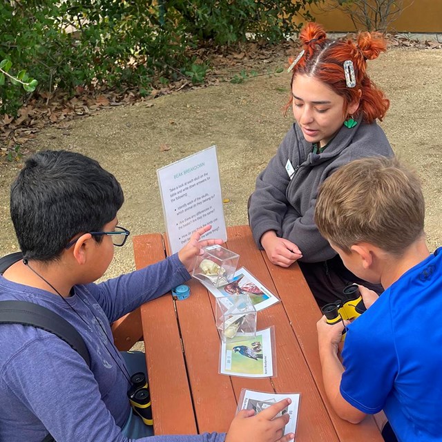 Field Trips at the Audubon Center at Ernest Debs Park