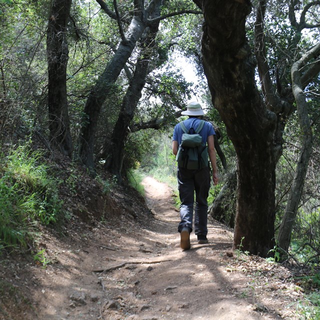 a person in blue shirt, loose pants and backpack hikes in a shady canyon along the Backbone Trail.