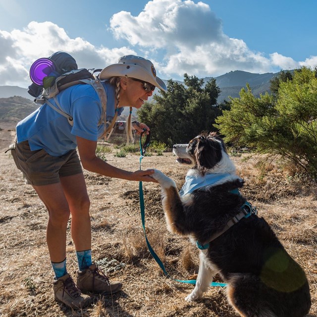 A hiker shakes her dog's paw while out on the trails.