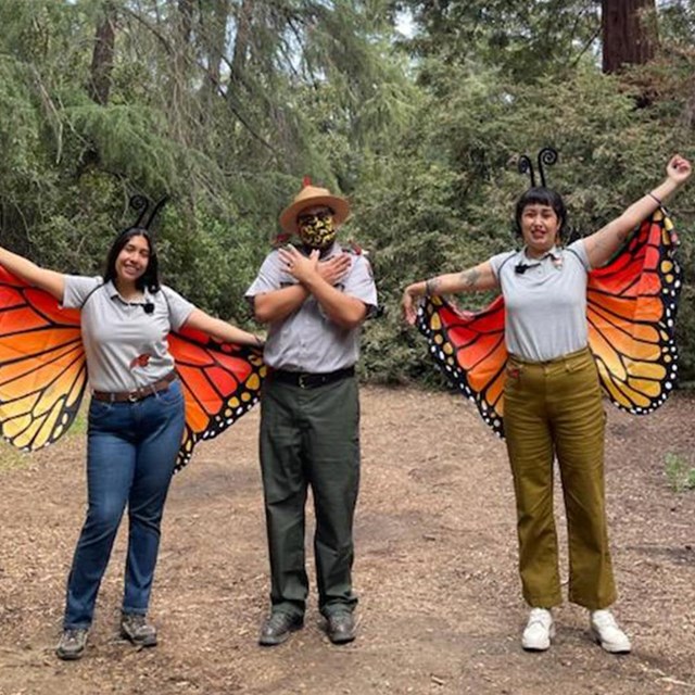Curious to learn about the Regal Flyers of Santa Monica Mountains?