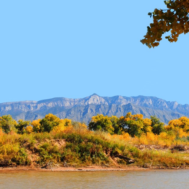 Rio Grande Nature Center 