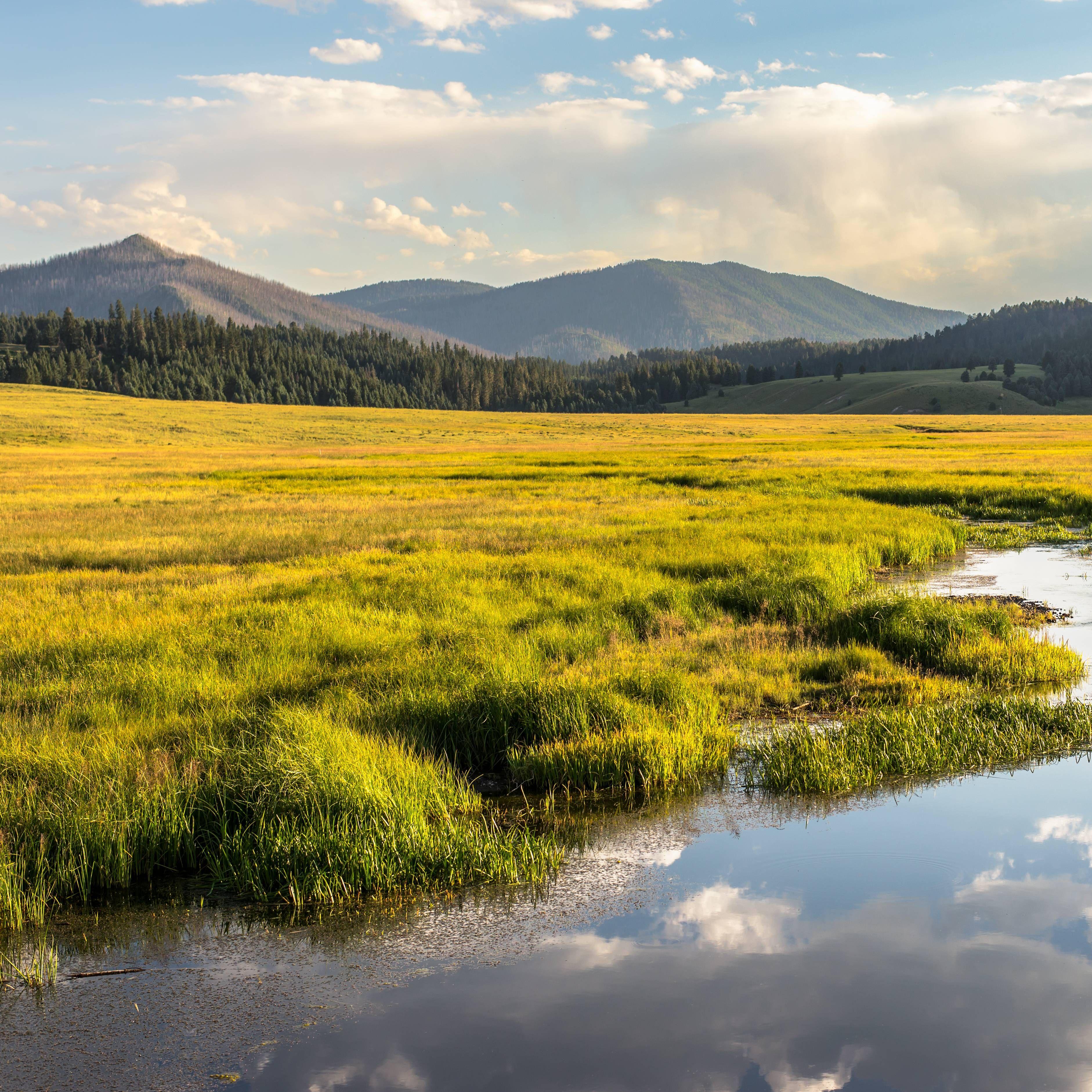 Valles Caldera National Preserve