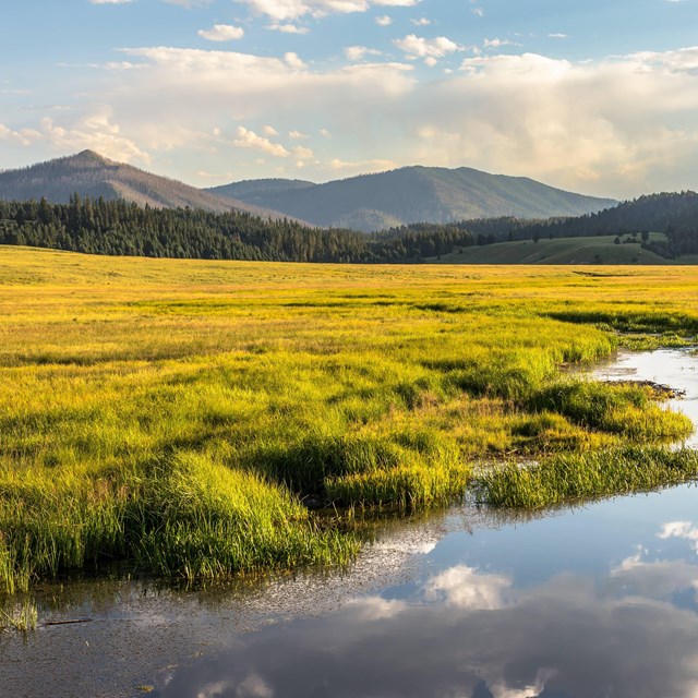 Valles Caldera National Preserve