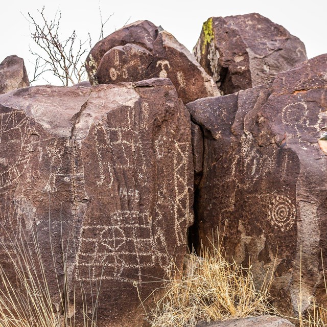 Three Rivers Petroglyph Site