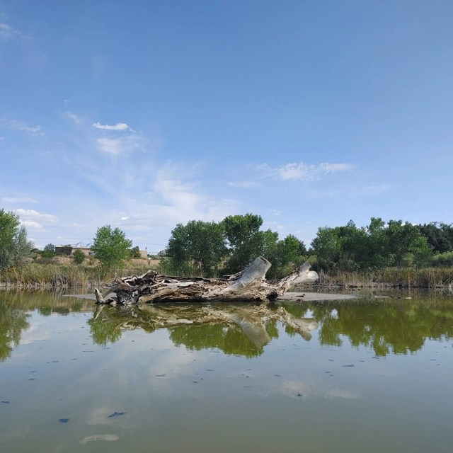Whitfield Conservation Area 