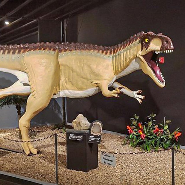 Mesalands Dinosaur Museum and Natural Sciences Laboratory