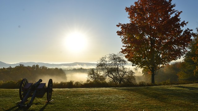 Cannon to the left on a mowed lawn with a tree to the right, sunny day blue sky