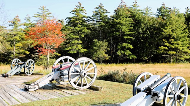 Cannons are on the battlefield surrounded by the green, gold, and red vegetation of fall.