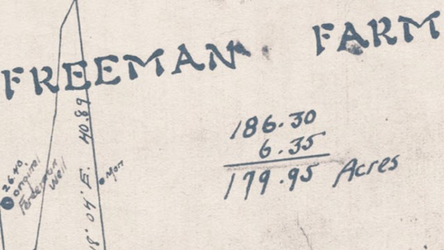 Historic map, "Freeman Farm"