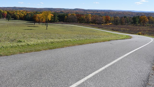 A road curves down a hill into green vegetation.