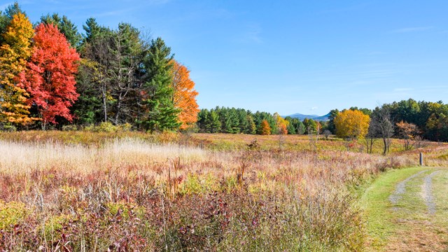 A mowed path leads down a hill into green, red, yellow, and orange vegetation.