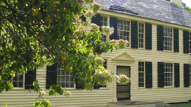 A tree partially covers the view of a two story, shuttered, yellow house