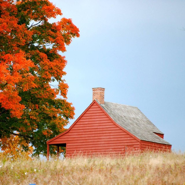 A small, red house sits beside a tree on top of a grassy ridge.