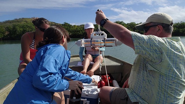 Photograph of researchers sampling water as part of a study of bioluminescence.