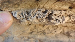 A finger points to sand crystals embedded in sandstone.