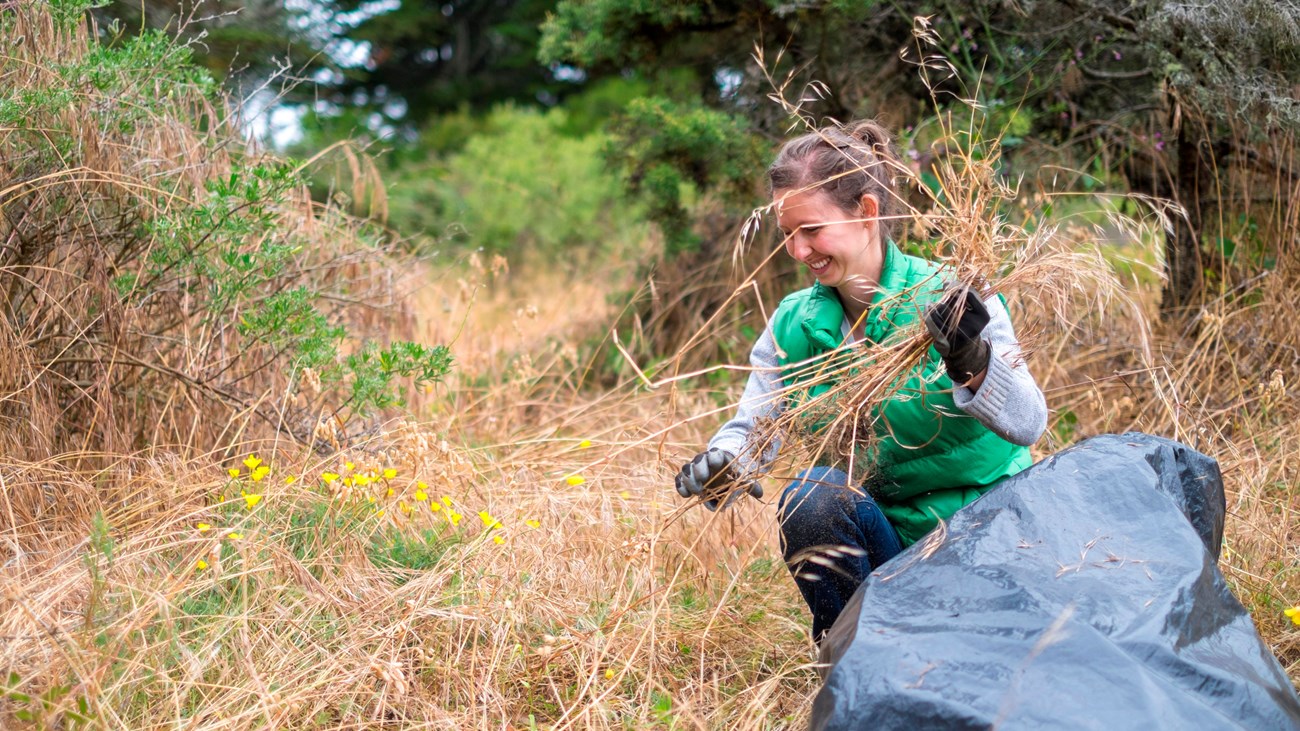 A woman crouches in a grassy area while she bags pulled weeds.