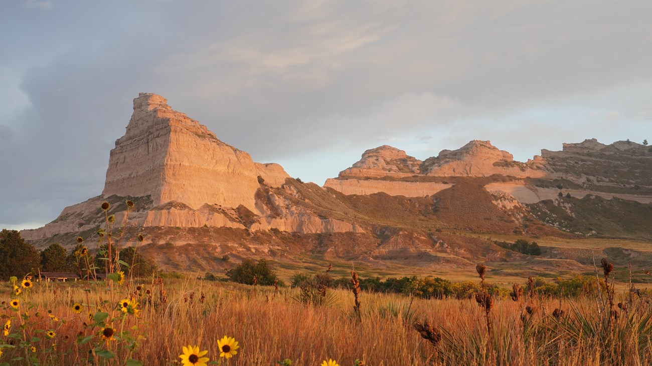 Sunflowers decorate the prairie foreground with an imposing, steep-sided bluff in the background.