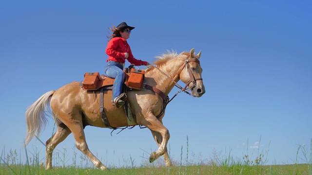 A person wearing a cowboy hat rides a horse through a grassy area.