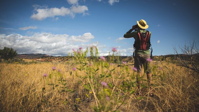 A person looks through binoculars in a field of flowers