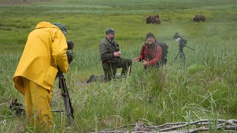 An NPS ranger is interviewed in a field with bears behind them.