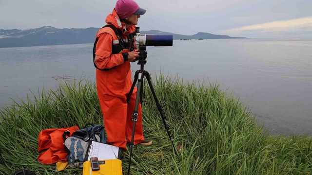 A researcher uses a spotting scope to watch sea otters in the sound.